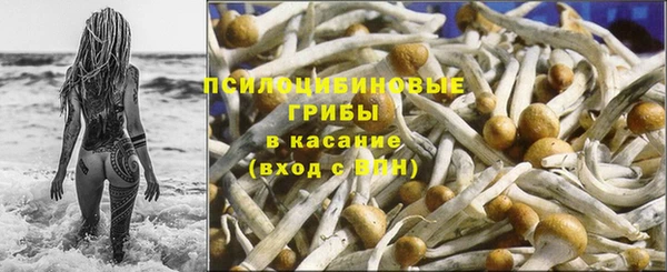 кокс Баксан