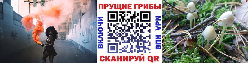 Псилоцибиновые грибы MAGIC MUSHROOMS  Облучье 